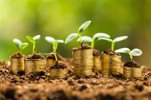 SMSF Auditing for Accountants